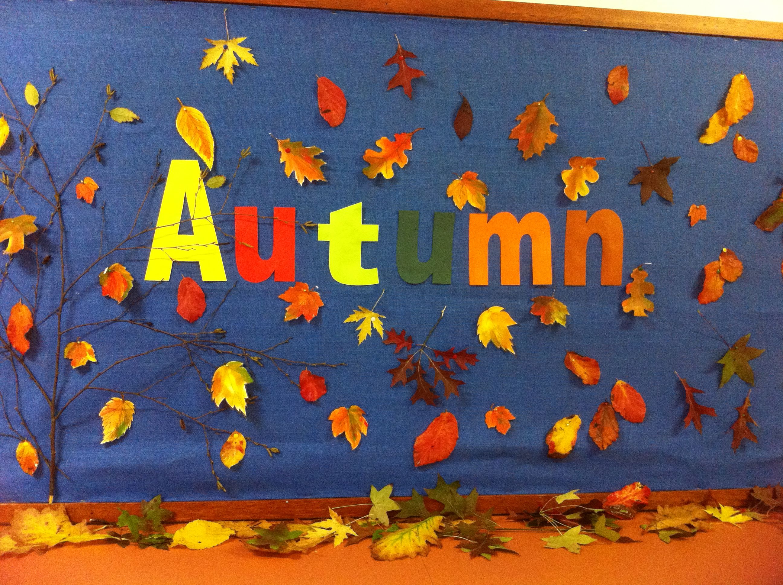 fall bulletin board ideas